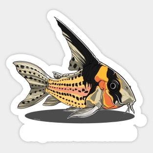 Corydoras Brevirostris Sticker